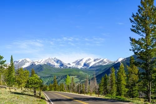 Mountain highway through evergreen forest
